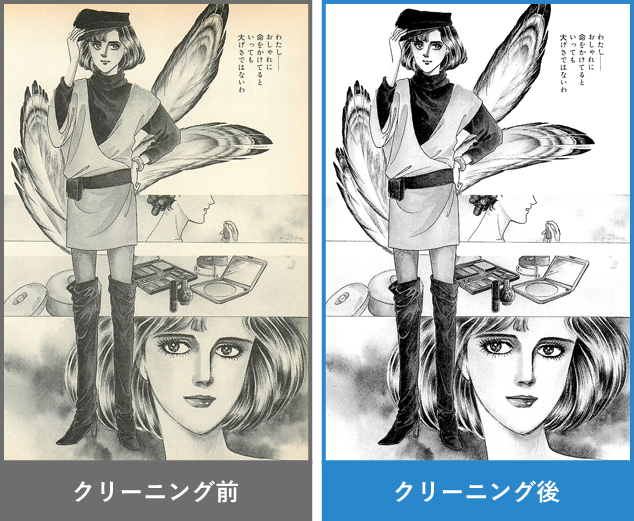 適切なクリーニングと画像調整