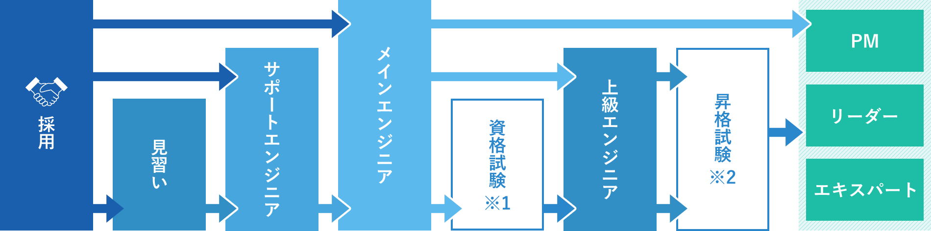 採用 見習い サポートエンジニア メインエンジニア 資格試験※1 上級エンジニア 昇格試験※2 PM リーダー エキスパート
